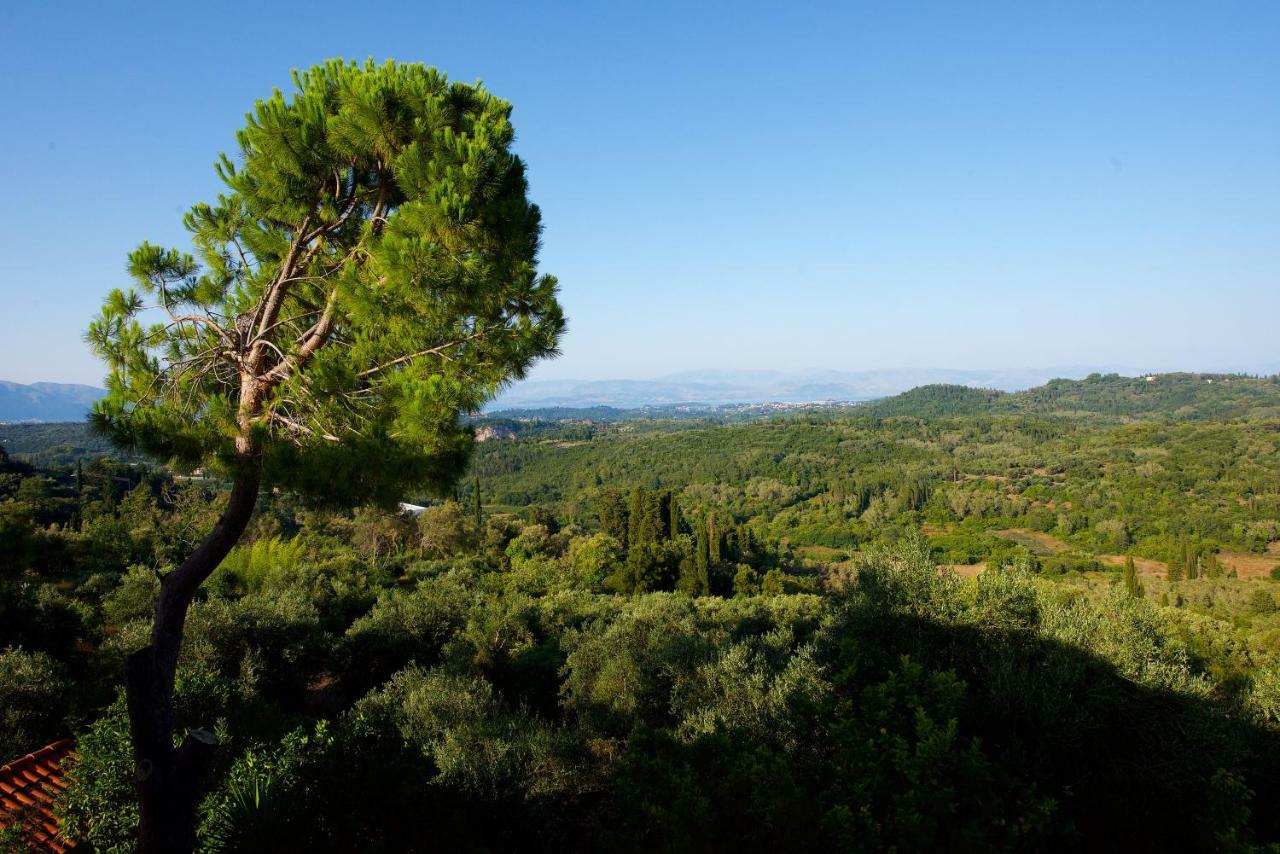 Aurora Apartment Corfu Pelekas Eksteriør bilde